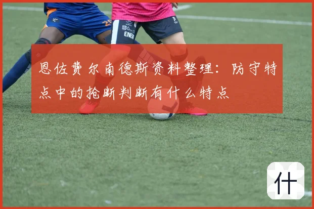 恩佐费尔南德斯资料整理：防守特点中的抢断判断有什么特点